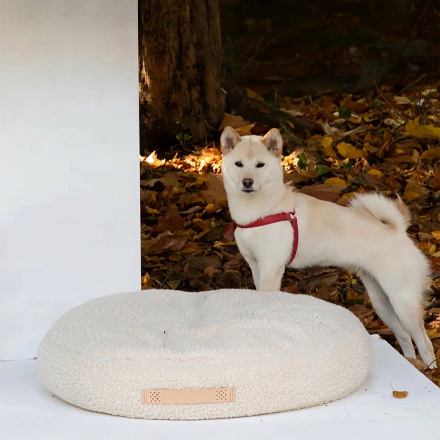 Pet Mat — Teddy Fleece