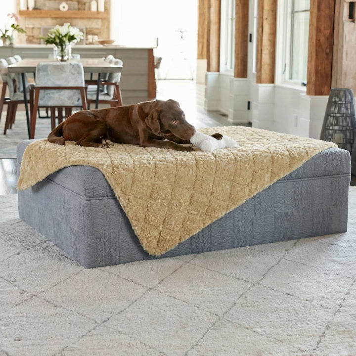 Pet Sofa Topper — Shearling